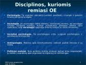 Organizacijos elgsenos samprata  4 puslapis