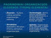 Organizacijos elgsenos samprata  6 puslapis