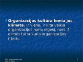Organizacijos elgsenos samprata  9 puslapis
