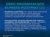 Organizacijos elgsenos samprata  10 puslapis