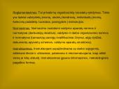 Organizaciniai administraciniai valdymo metodai 4 puslapis