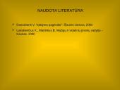 Organizaciniai administraciniai valdymo metodai 7 puslapis