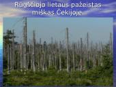 Oro tarša bei didžiausi teršėjai 12 puslapis