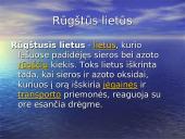 Oro tarša bei didžiausi teršėjai 9 puslapis