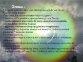 Ozonas ir ozono sluoksnis 2 puslapis