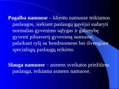 Pagalbos ir slaugos namuose būdai ir plėtotės galimybės 2 puslapis