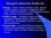 Pagalbos ir slaugos namuose būdai ir plėtotės galimybės 13 puslapis