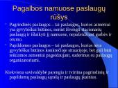 Pagalbos ir slaugos namuose būdai ir plėtotės galimybės 4 puslapis