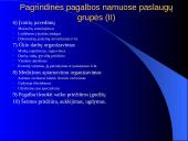 Pagalbos ir slaugos namuose būdai ir plėtotės galimybės 6 puslapis