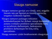 Pagalbos ir slaugos namuose būdai ir plėtotės galimybės 10 puslapis