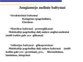 Pagrindiniai neląstelinio matrikso komponentai 2 puslapis