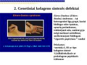 Pagrindiniai neląstelinio matrikso komponentai 19 puslapis
