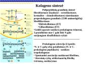 Pagrindiniai neląstelinio matrikso komponentai 8 puslapis