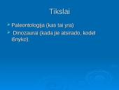 Paleontologija. Dinozaurų atsiradimas 2 puslapis
