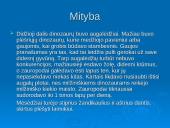 Paleontologija. Dinozaurų atsiradimas 9 puslapis