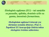 Papildomas gamtamokslinis ugdymas 12 puslapis