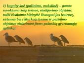 Papildomas gamtamokslinis ugdymas 17 puslapis