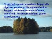 Papildomas gamtamokslinis ugdymas 19 puslapis