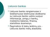 Paskolų ir indėlių sistema 2 puslapis