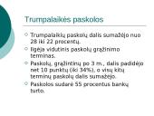 Paskolų ir indėlių sistema 17 puslapis