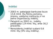 Paskolų ir indėlių sistema 3 puslapis