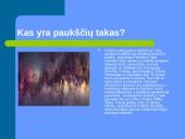 Paukščių tako apraiškos 2 puslapis