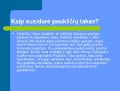 Paukščių tako apraiškos 5 puslapis