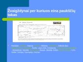 Paukščių tako apraiškos 6 puslapis