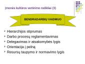 Personalo vadybos turinys ir principai 10 puslapis