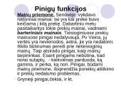 Pinigai. Jų funkcijos ir agregatai 2 puslapis