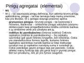 Pinigai. Jų funkcijos ir agregatai 7 puslapis