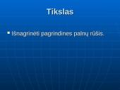 Planų rūšys: ilgalaikiai, vidutinės trukmės, operatyviniai 2 puslapis
