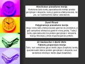 Prekybos ir investavimo teorijos 2 puslapis