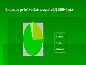 Prevencija, kaip antras pagalbos lygmuo 13 puslapis