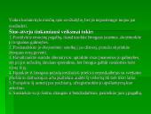 Prevencija, kaip antras pagalbos lygmuo 16 puslapis