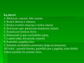 Prevencija, kaip antras pagalbos lygmuo 18 puslapis