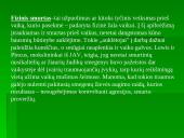 Prevencija, kaip antras pagalbos lygmuo 8 puslapis