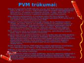 PVM – pridėtinės vertės mokestis 9 puslapis