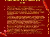 PVM – pridėtinės vertės mokestis 10 puslapis