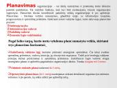 Produkto darymo proceso teorinis valdymo modelis 3 puslapis