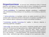 Produkto darymo proceso teorinis valdymo modelis 5 puslapis