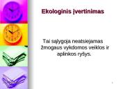 Projekto inicijavimas. Projekto idėjos analizė 11 puslapis