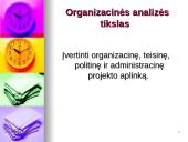 Projekto inicijavimas. Projekto idėjos analizė 13 puslapis