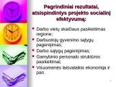 Projekto inicijavimas. Projekto idėjos analizė 16 puslapis