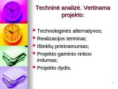 Projekto inicijavimas. Projekto idėjos analizė 6 puslapis
