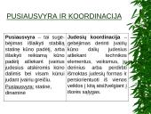 Pusiausvyros ir koordinacijos vertinimo metodai 2 puslapis