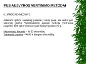 Pusiausvyros ir koordinacijos vertinimo metodai 12 puslapis