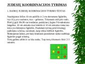 Pusiausvyros ir koordinacijos vertinimo metodai 15 puslapis