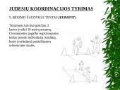 Pusiausvyros ir koordinacijos vertinimo metodai 17 puslapis