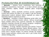 Pusiausvyros ir koordinacijos vertinimo metodai 5 puslapis